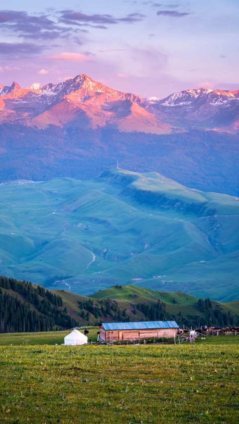 Xinjiang Yili Karajun Grassland High Mountains screenshot