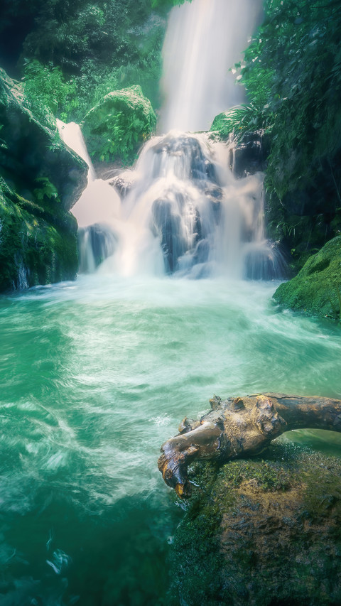 Youpu ancient vine screenshot