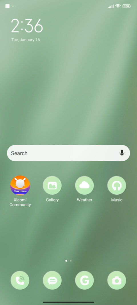 Green Curtains screenshot