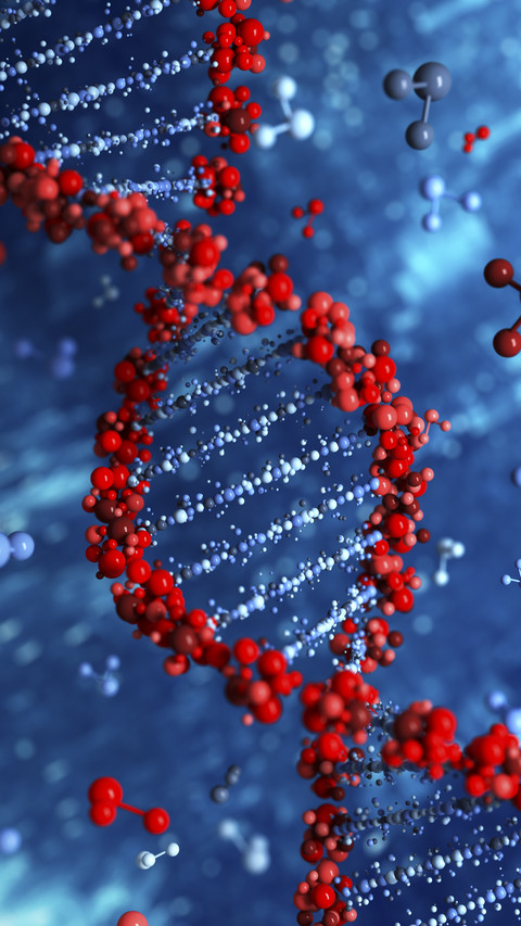 DNA Molecular Structure screenshot