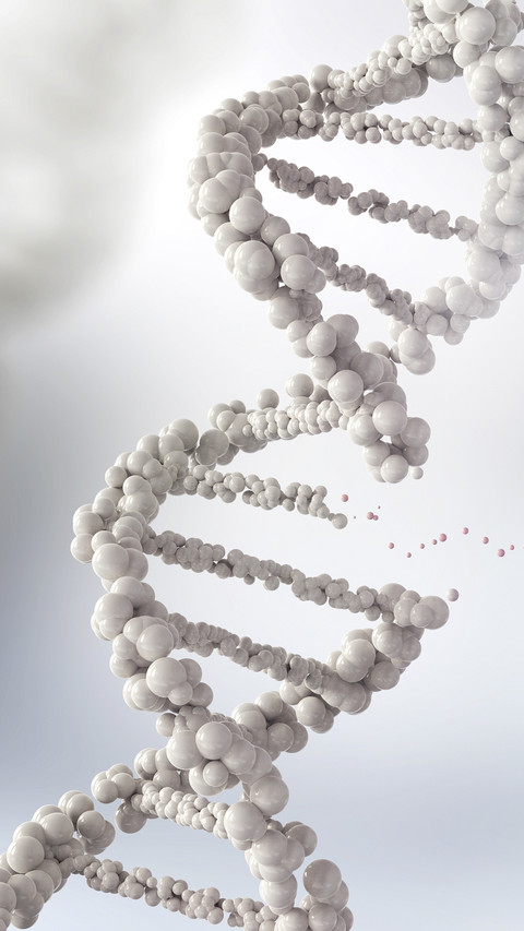 DNA Molecular Structure screenshot