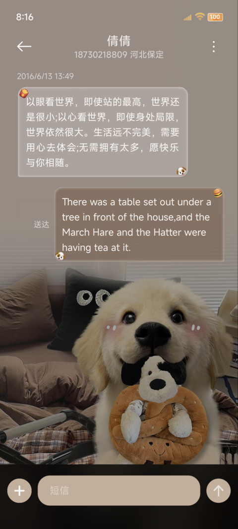 OS美拉德金毛小狗 screenshot