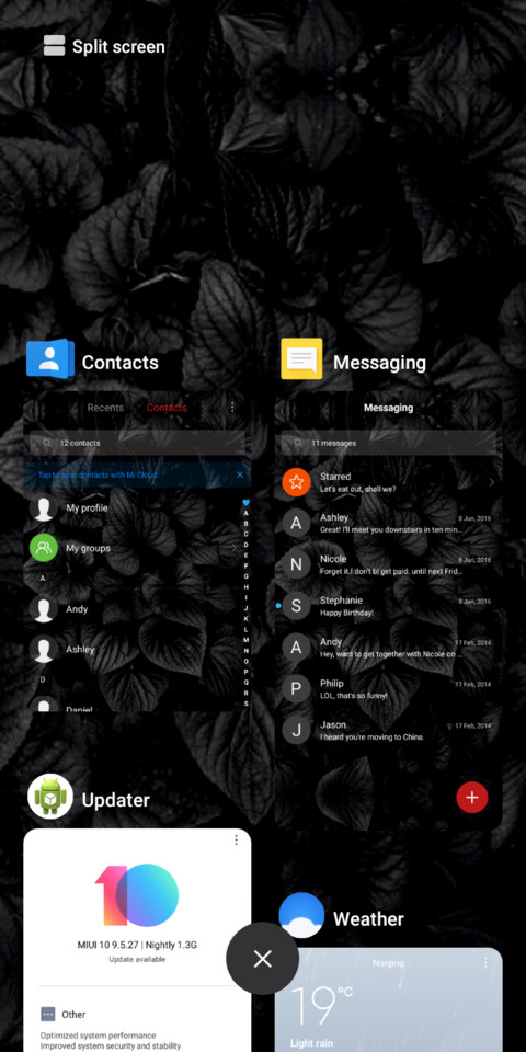 Black Roses_DWM19 screenshot