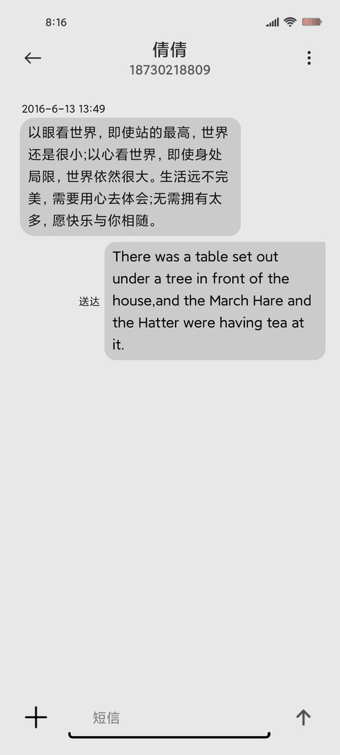 原子拟态熊猫崽 screenshot