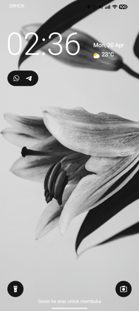 Shinthings screenshot