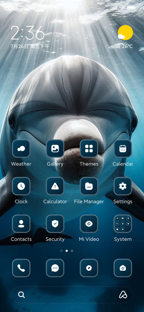 Dolphin screenshot