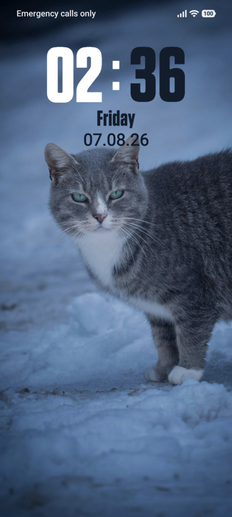Snow Cat screenshot