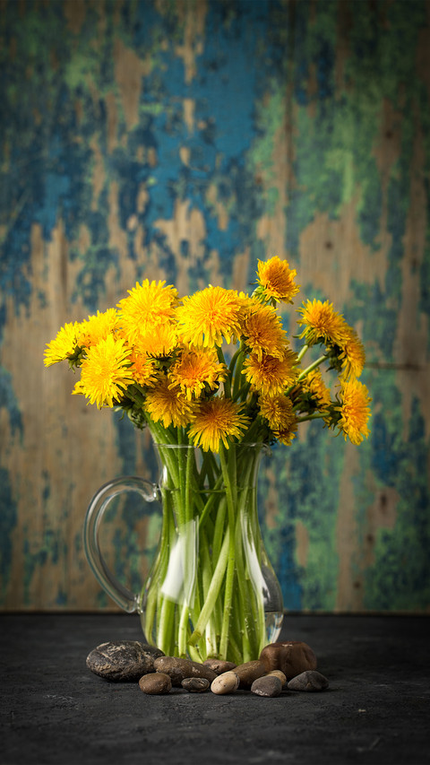 Top 10 Common Mistakes When Growing Flowers 7 screenshot