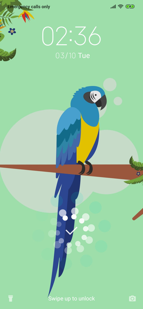 Macaw_3MDS screenshot