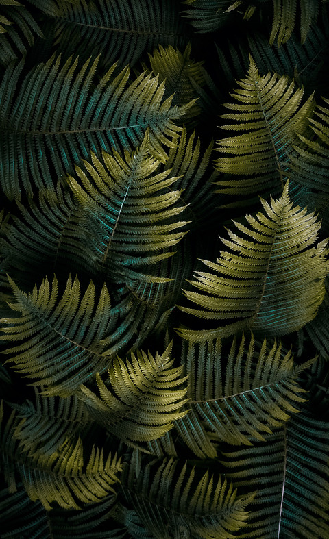 omid-armin-g17w8RVeKuQ-unsplash screenshot