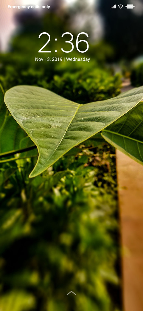 Leaf Surface_DWM3 screenshot