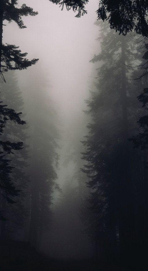Mystery (5) screenshot
