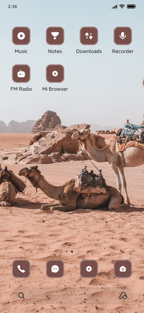 Camels screenshot