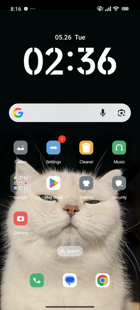 Cat screenshot