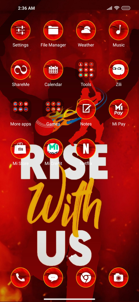 Cricket Ten screenshot