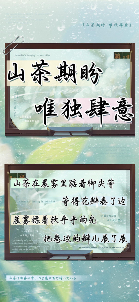 山茶期盼唯独肆意 screenshot