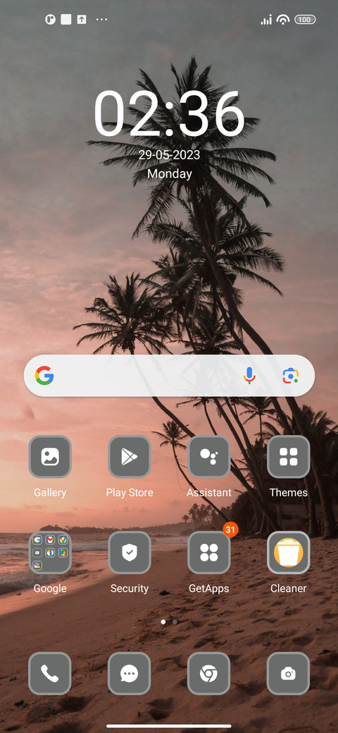 Cocunut Tree screenshot