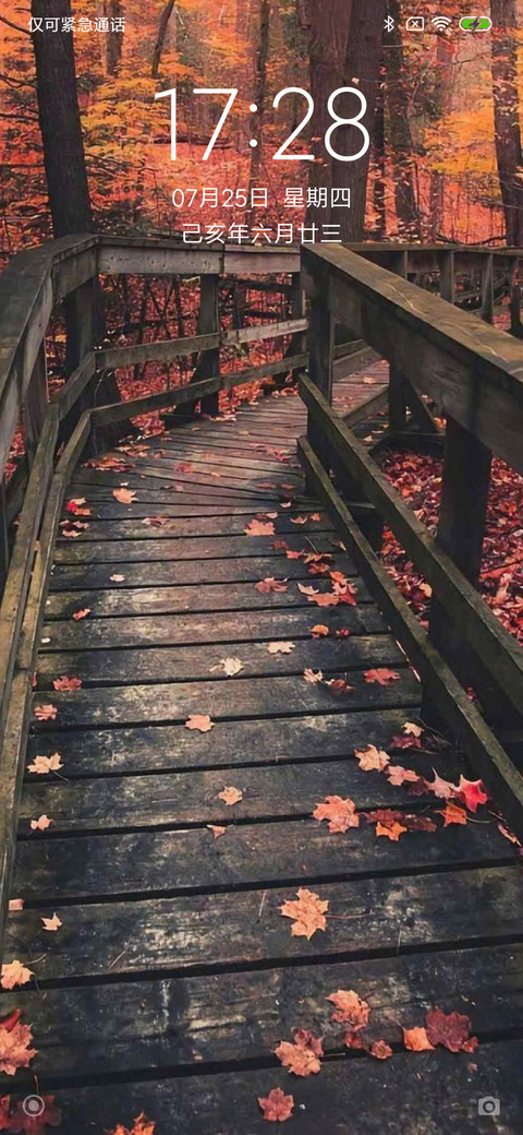 枫树叶的小道 screenshot