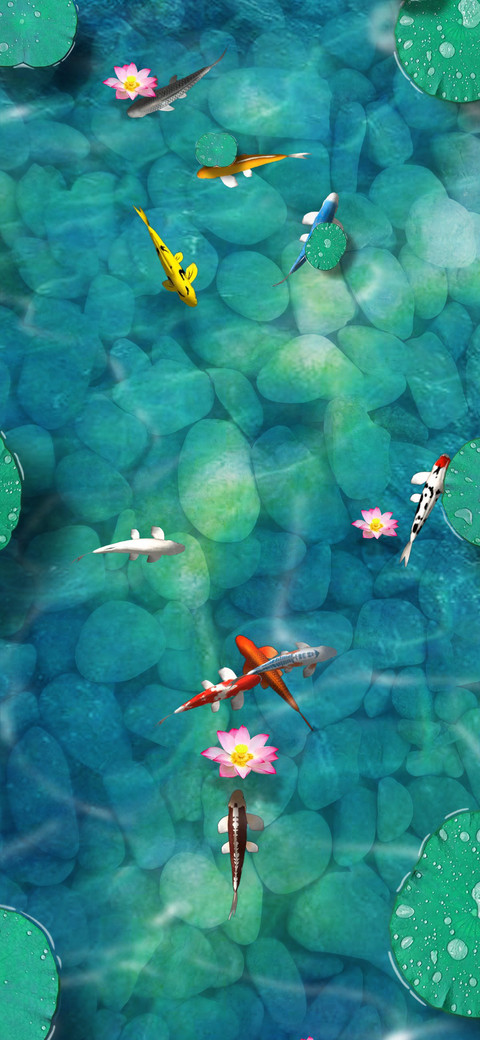 锦鲤 screenshot