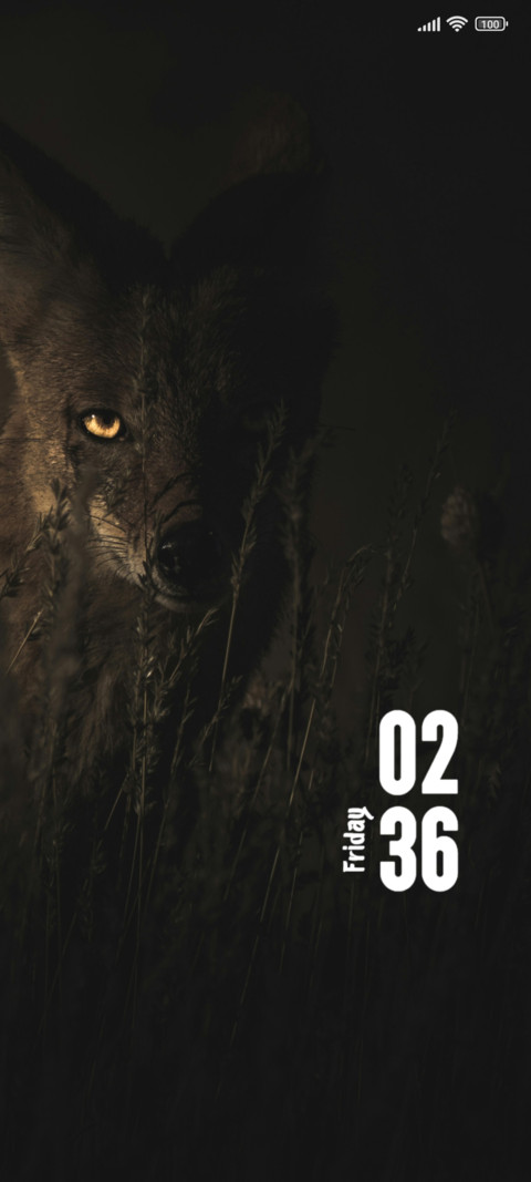 Jackal screenshot