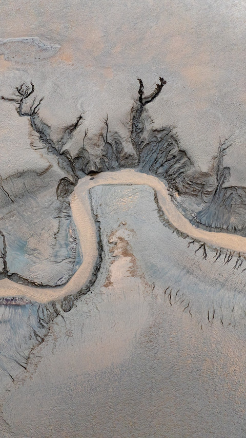 The tide surges among the trees' shadows. screenshot