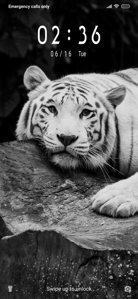 Tiger Dark_3MDS screenshot