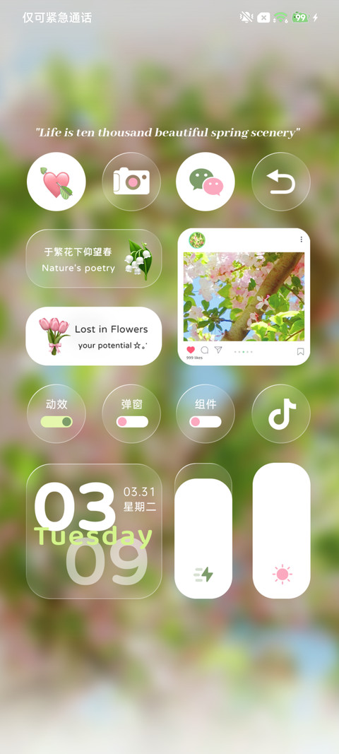 ins百花撞了春风 screenshot