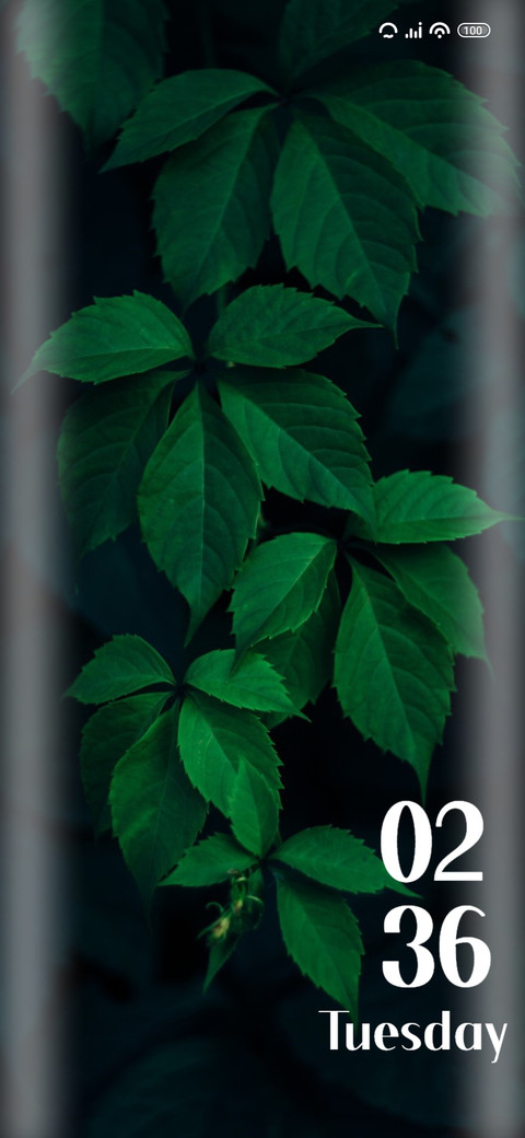 Plant screenshot