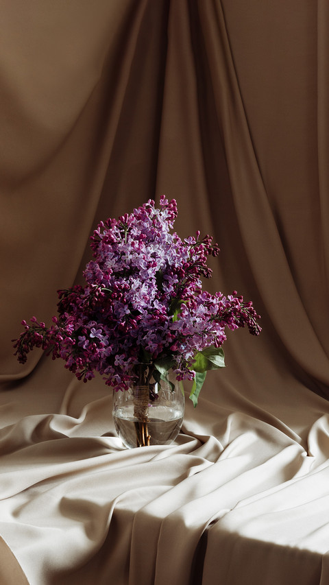 A  bouquet of blooming lilacs in a glass vase on a table screenshot