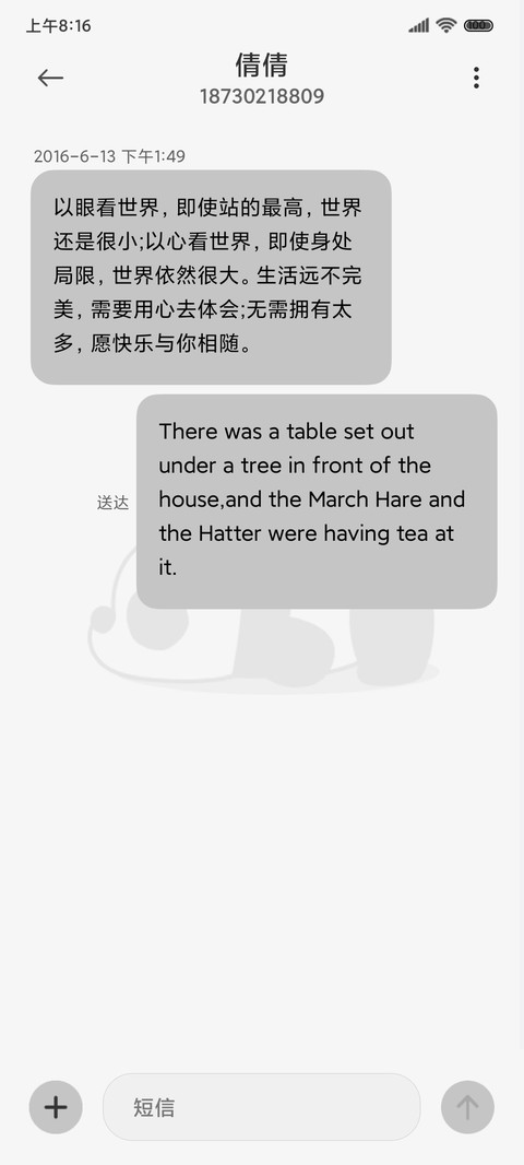 拟态简约 熊猫趴趴 screenshot