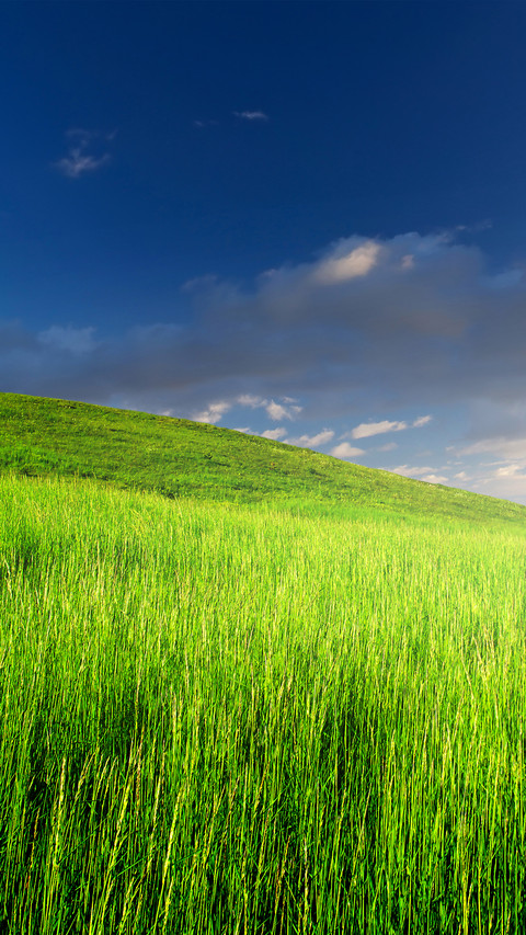Eye care green grass screenshot