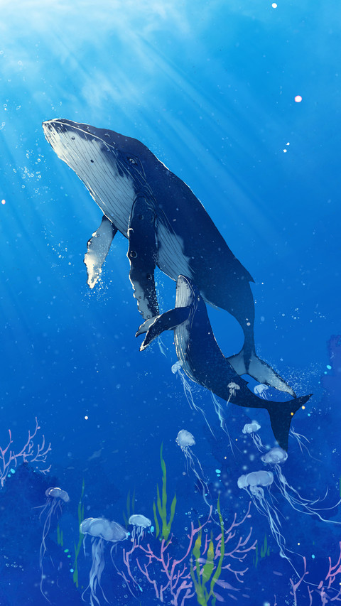 Illustration 719 screenshot