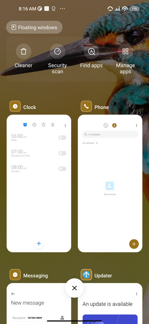 Kingfisher Bird screenshot