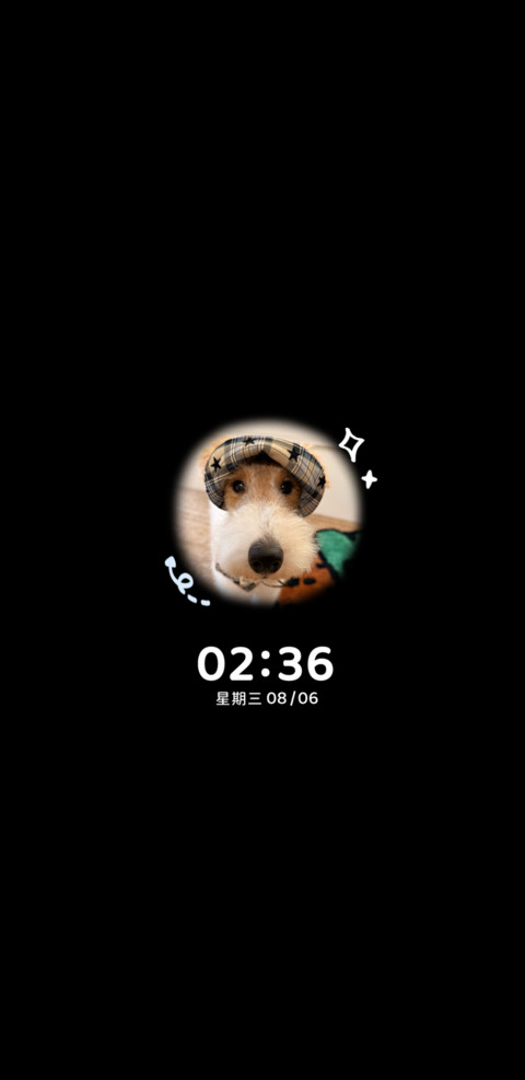 ins小狗开门系我 screenshot