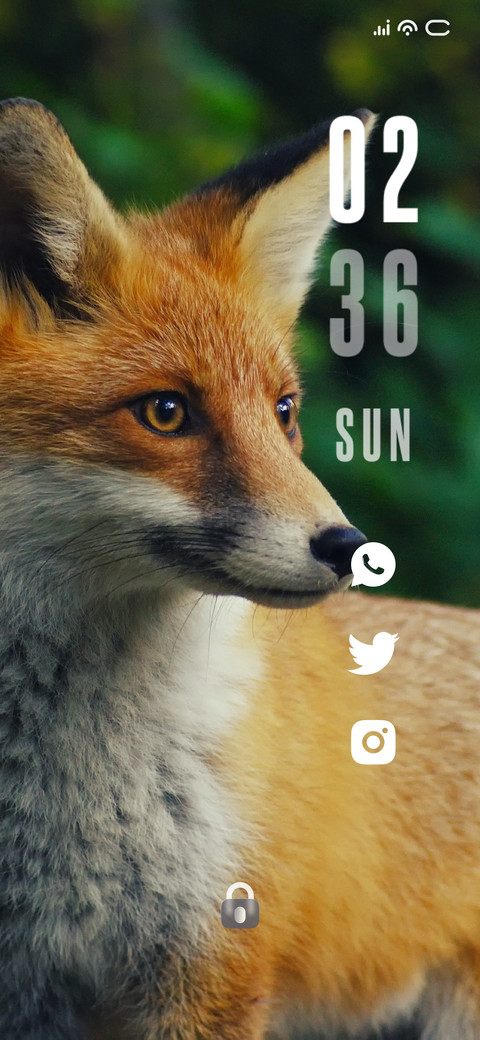 Foxy Look screenshot