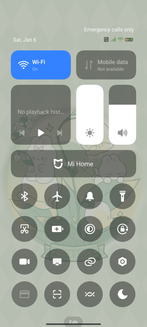 Spring Bunny screenshot