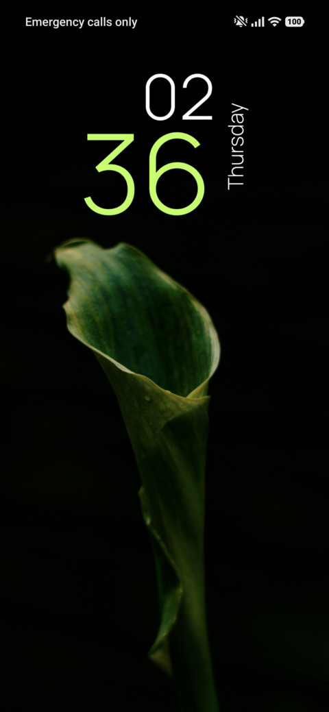 Leaf Texture screenshot