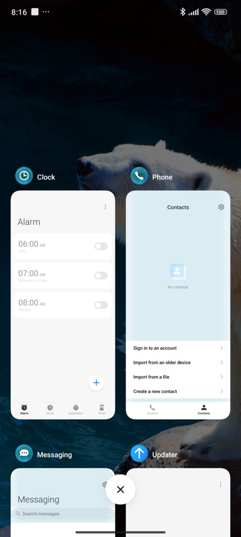 polar bear screenshot