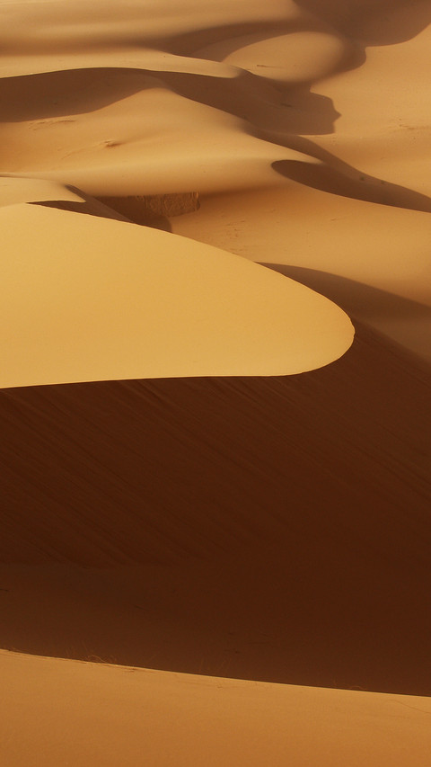 Moving dunes of sand on Sahara desert screenshot