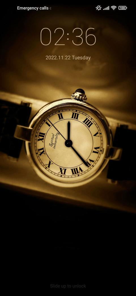Gold Time screenshot
