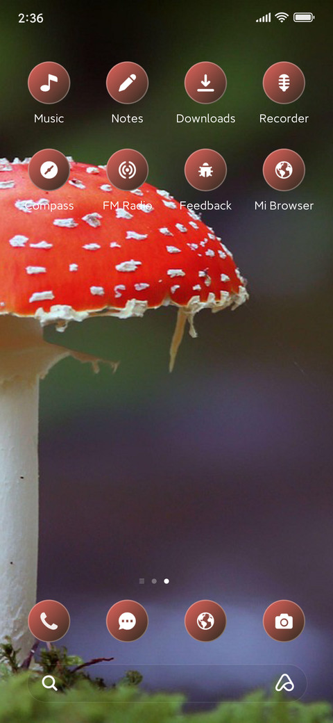 Red Mushroom screenshot