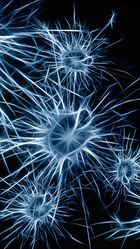 112283_1440x2560.jpg screenshot