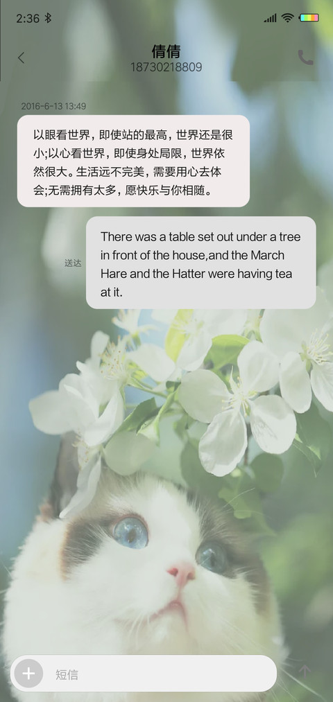 你如夏日般灿烂X screenshot