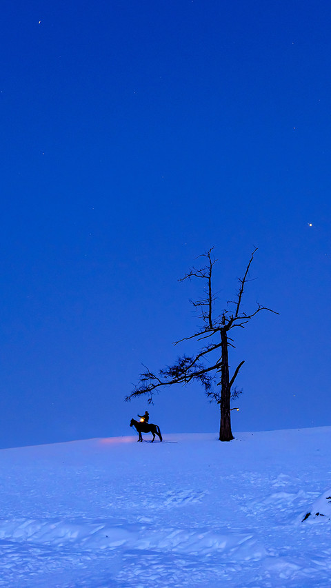 A lonely tree is not lonely screenshot
