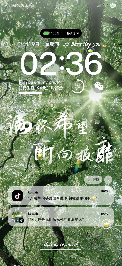 ins文案左肩有你 screenshot