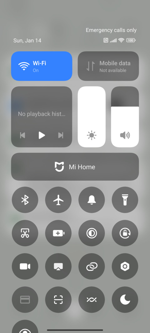 Cute avocados screenshot