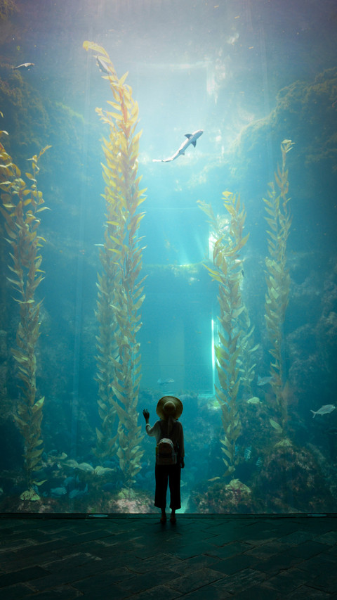 Underwater world screenshot