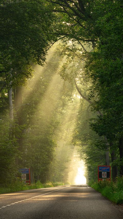 Light and shadow screenshot