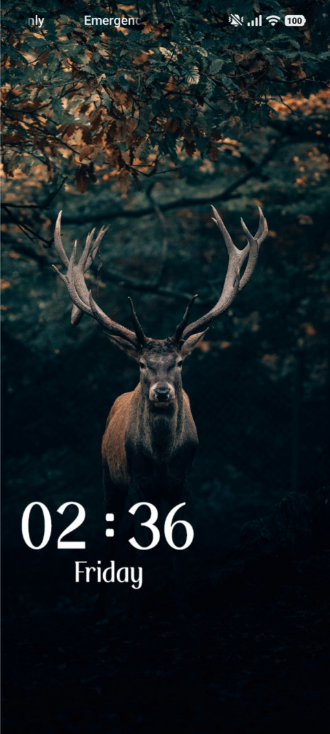 Wildlife screenshot
