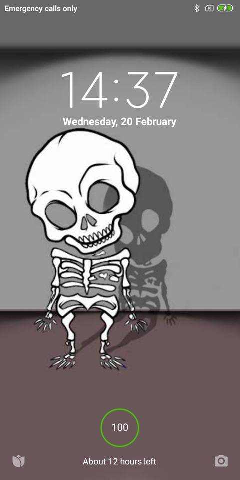 Selow screenshot